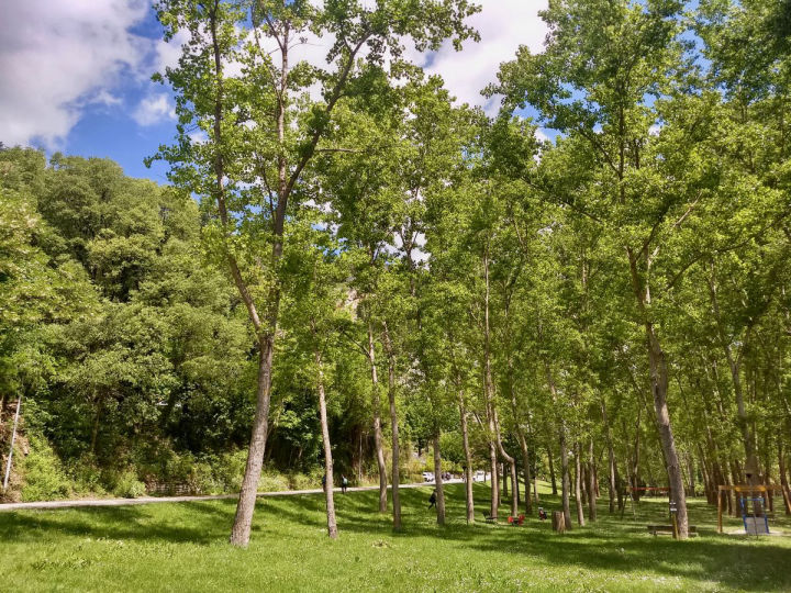 Furlo Park