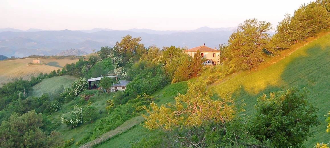 title 1